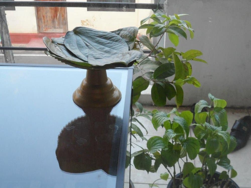 Ayurveda wellness therapy in Sri Lanka